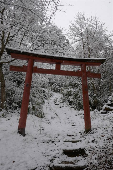 Torii gate in the snow | Scrolller