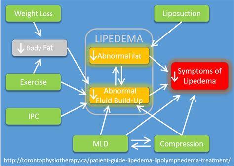 Patient Guide: Treatment of Lipedema and Lipo-Lymphedema