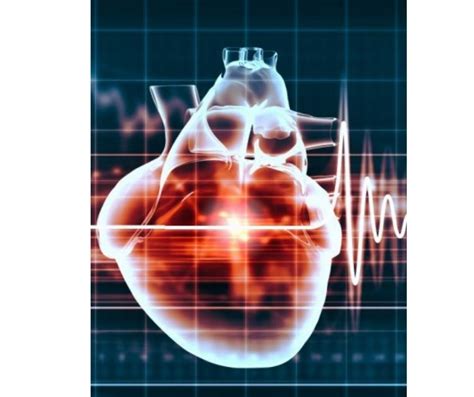 Cardio Toxicity | Cardiology Conference | Heart Disease Conference ...