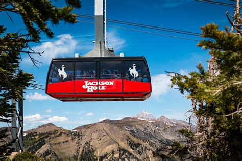 A Quick Guide to Gondola & Tram at Jackson Hole