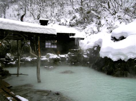 Ryokans in Japan: Tradition & Luxury | Onsen, Onsen japan, Japanese onsen