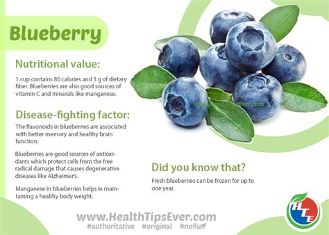 Blueberries - Health Benefits with Infographics – Health Tips Ever Magazine