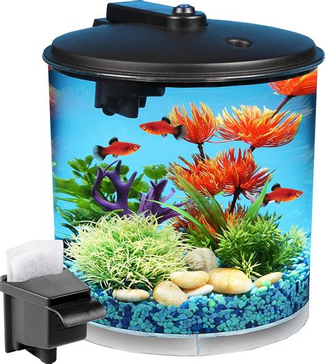 Best Fish Tanks for Kids 2020 - Get aquarium fish