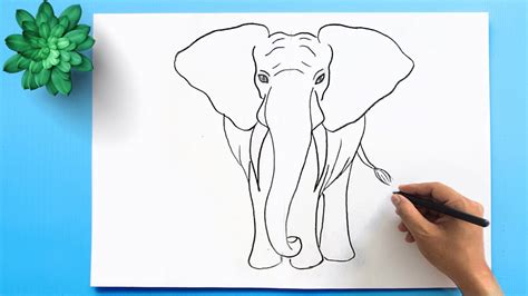 How To Draw An Elephant For Kids Step By Step