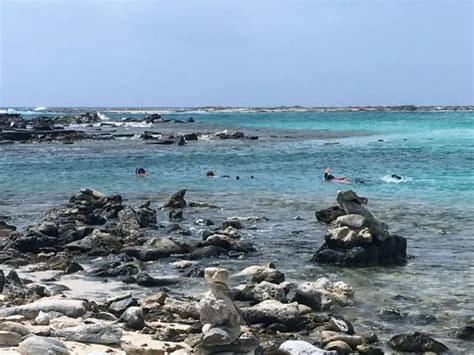 Aruba Snorkeling Guide: The Best Beaches to Visit - Little Blue Backpack