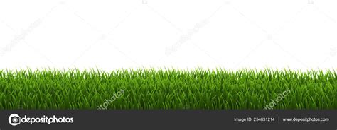 Grass Border White background Stock Vector by ©barbaliss 254831214