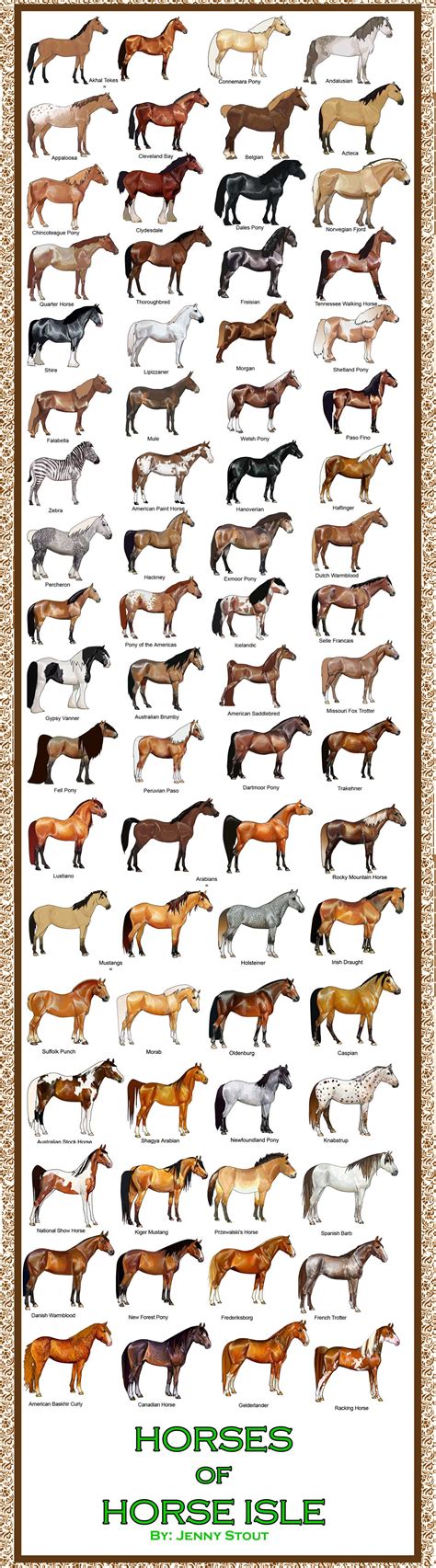 Breed Chart: Horses 0f the isle | Horse breeds, Horses, Pretty horses