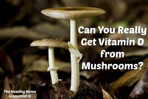 Debunking the Absurd Notion of Vitamin D in Mushrooms