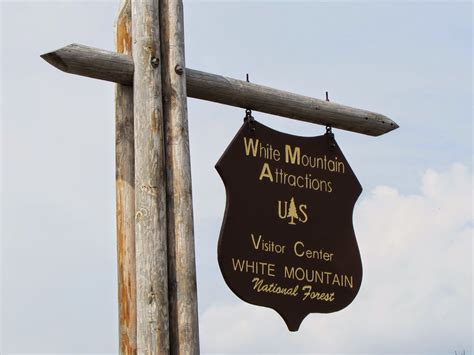 "Not All Those Who Wander Are Lost": White Mountains National Forest