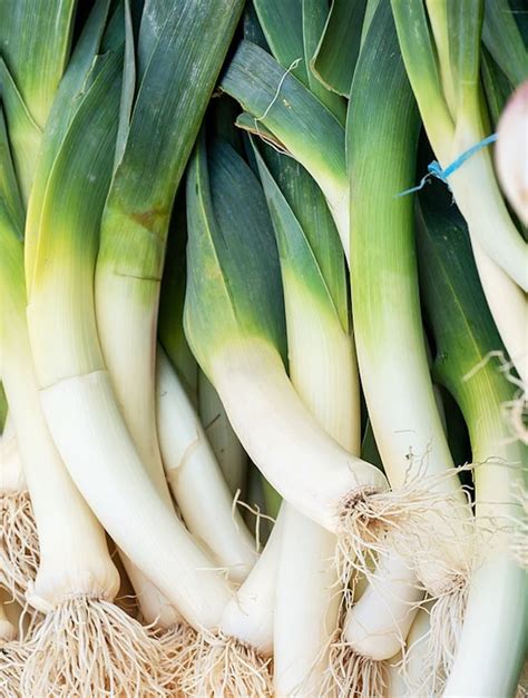 A Guide to Leeks (including baby leeks, ramps, and Chinese leeks)