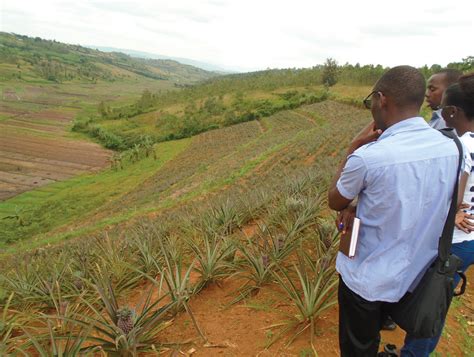 27 Rwanda Fellows complete first phase of food leadership programme – African Food Fellowship