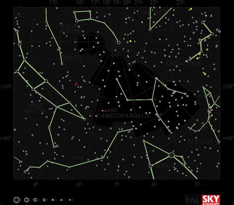 Camelopardalis | The Constellation Directory