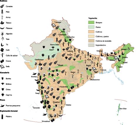 india Agricultural map | Vector maps