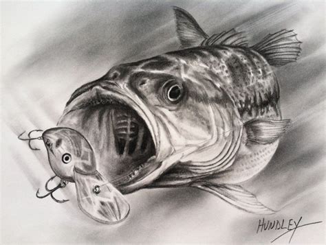 “Shasta Spottie” | Fish drawings, Drawings, Portrait drawing