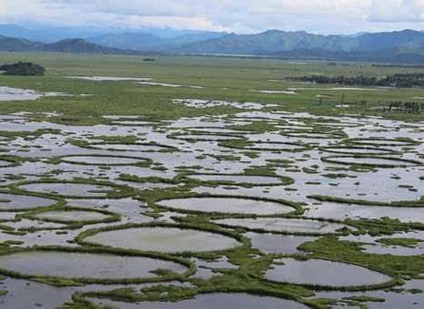 Loktak Lake WorldAtlas, 47% OFF | www.pinnaxis.com