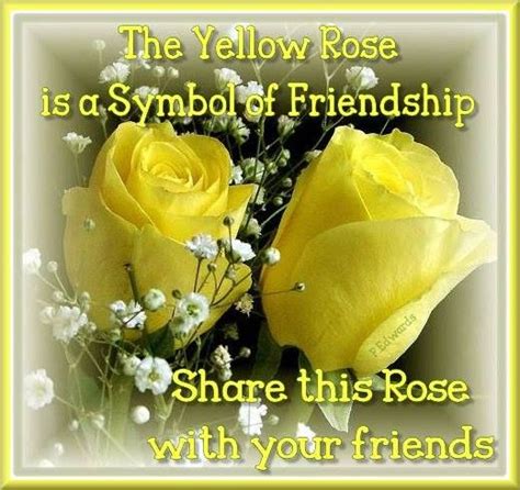 Pretty Yellow Roses. | Yellow roses, Friendship rose, Rose