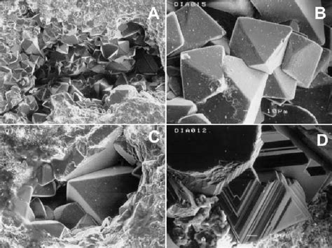 Diamond crystals in cavities of diamondites; secondary electron... | Download Scientific Diagram