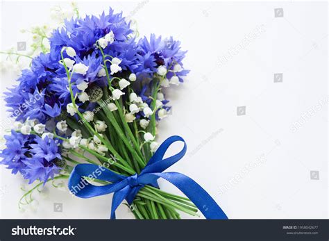 34,394 Cornflower Bouquet Images, Stock Photos & Vectors | Shutterstock