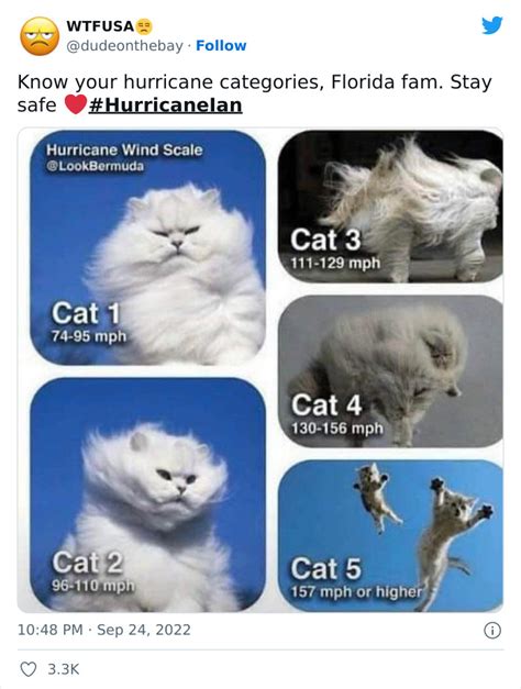 30 Of The Best Memes And Jokes About Hurricane Ian To Keep All The ...