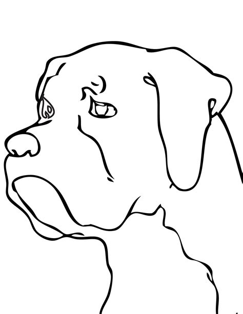 Boxer Dog Drawing | Free download on ClipArtMag