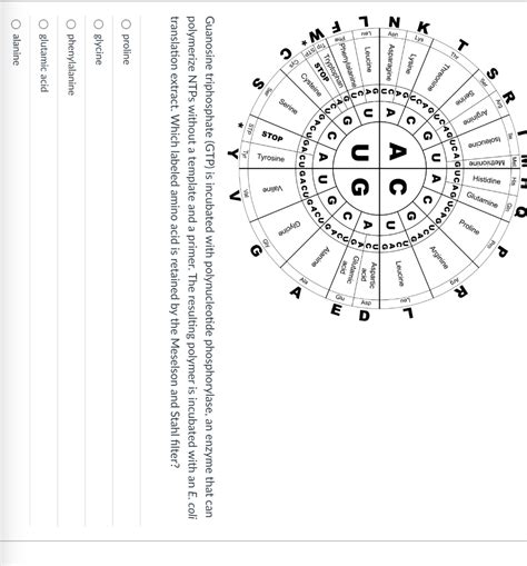 Solved Guanosine triphosphate (GTP) is incubated with | Chegg.com