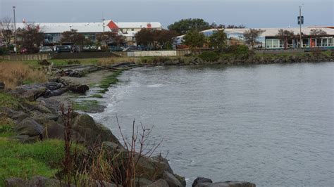 Beach Change Report: Port Angeles, WA - MyCoast