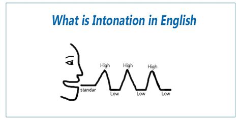 English phonetics: Intonation | HS Insider