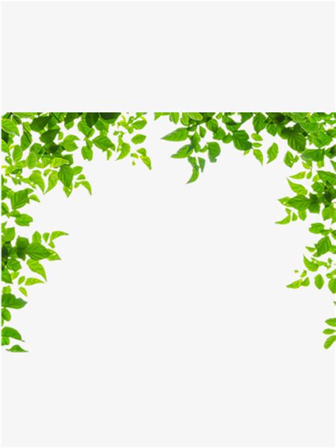 green leaf border clip art 10 free Cliparts | Download images on ...