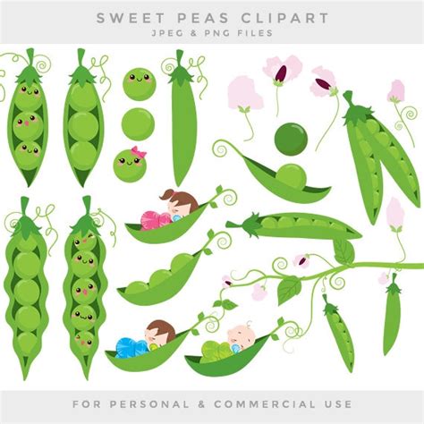 Peas in a Pod Clip Art Sweet Peas Clipart Baby Babies Green - Etsy