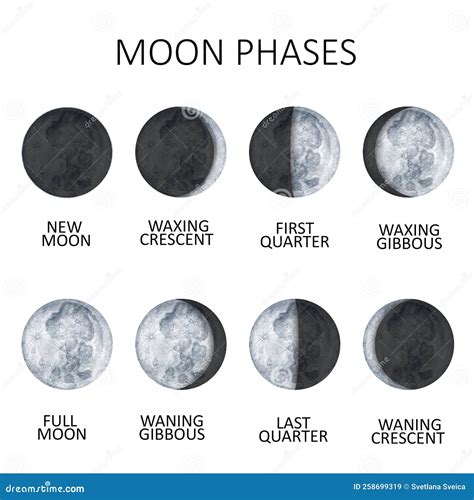 Moon Phases on White Background. Galaxy Hand Drawn Isolated Watercolor ...