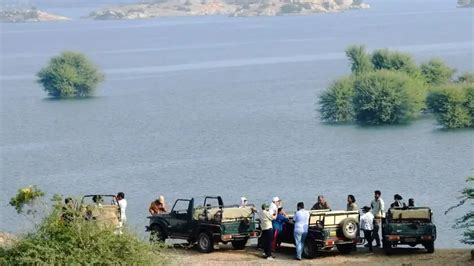 Why Jawai Bandh is Famous for Wildlife Safari in Rajasthan?