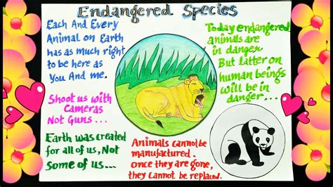 Endangered Animals Poster Drawing