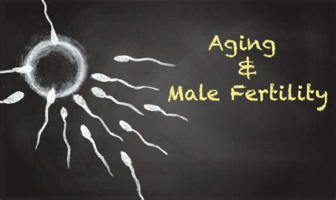 Male Aging and the Decline in Fertility Potential | MCRM Fertility ...