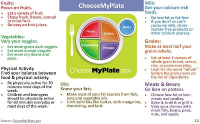 Colour Nutrition: An Introduction to MyPlate