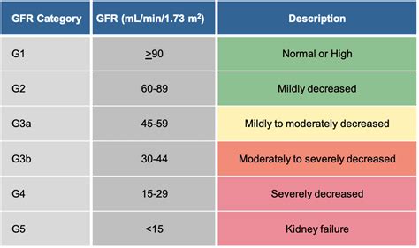 Kidney feature Creatinine Clearance