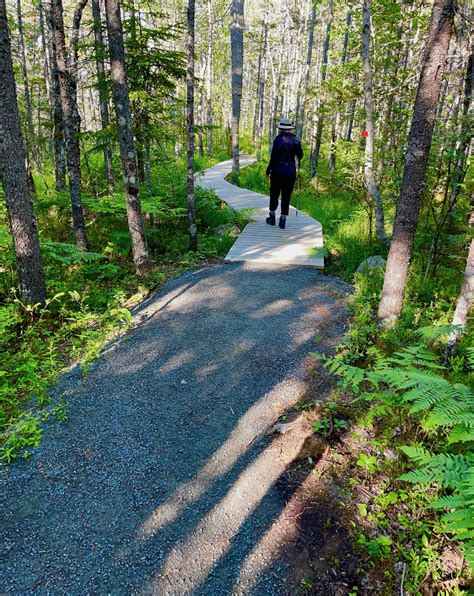 Nine Mile River Trail - A Great Walk in the Woods - The Maritime Explorer