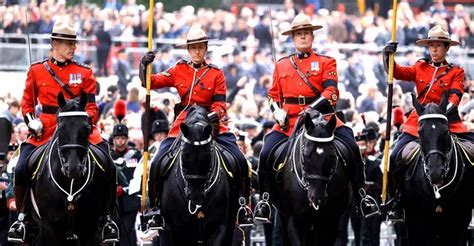 The 4 Horses Gifted To Queen Elizabeth By the Royal Canadian Mounted ...