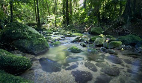 Cairns Tours and Attractions | City Sider Cairns