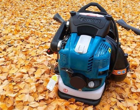 What to do about a leaf blower losing power? Diagnose&Fixes – Garden Tool Expert Store