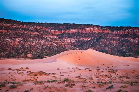 The Adventures of Asher & Journey: Coral Pink Sand Dunes State Park, Utah