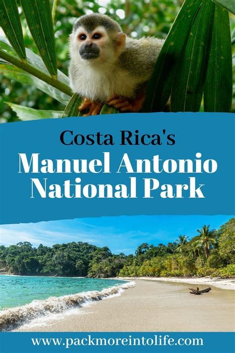 Hiking in Manuel Antonio National Park: Private Guided Tour - Pack More ...