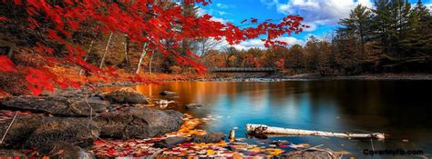 facebook cover | Autumn scenery, Scenery wallpaper, Hd nature wallpapers