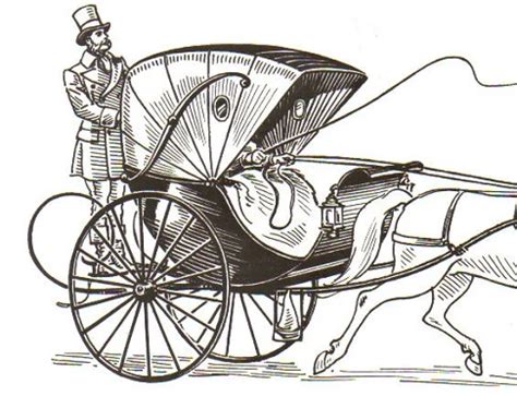 12 Common Types of Horse Drawn Carriages