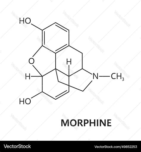 Morphine drug molecule formula chemical structure Vector Image