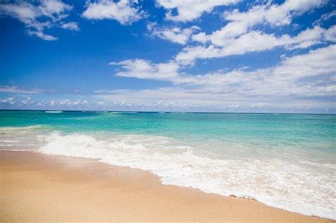 Experience The Natural Beauty Of Low Tide At Juno Beach Florida