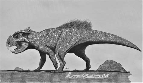 Bagaceratops rozhdestvenskyi by AcroSauroTaurus on DeviantArt