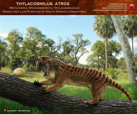 Thylacosmilus atrox by RomanYevseyev Prehistoric Wildlife, Prehistoric World, Prehistoric ...