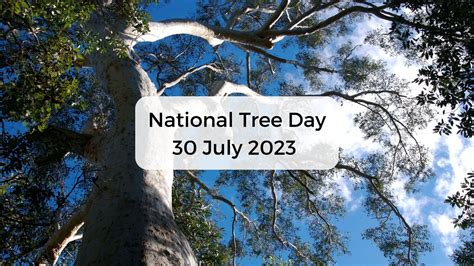 National Tree Day | TreeProject