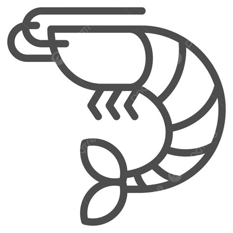 Shrimp Icon Design Outline Style Vector Design Cartoon Vector, Vector, Design, Cartoon PNG and ...