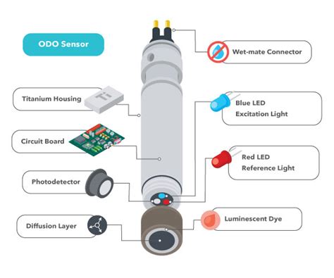 Dissolved Oxygen Measurement | Dissolved Oxygen Meter, DO Meters, Sensors